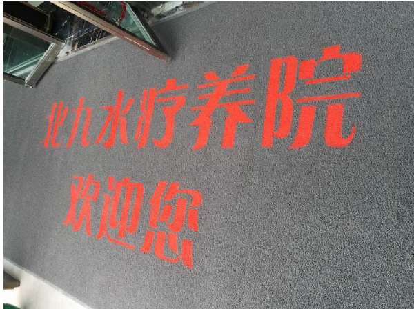 訂制門(mén)口除塵地墊加印LOGO